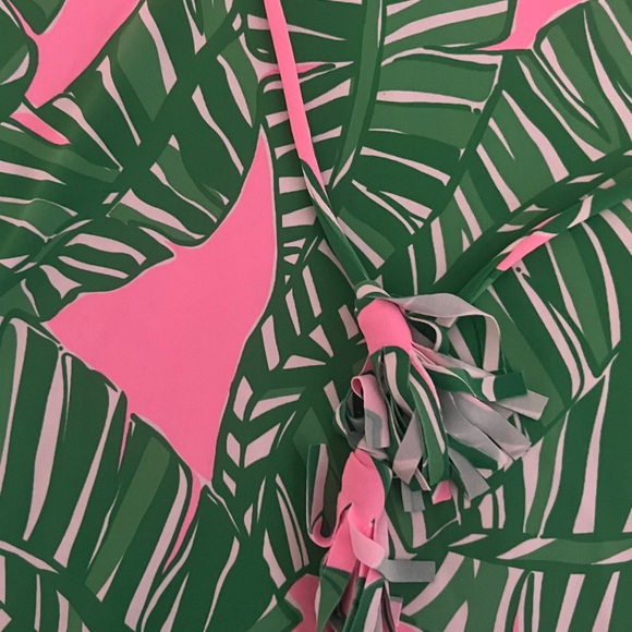 Lilly Pulitzer dress - Picture 4 of 4